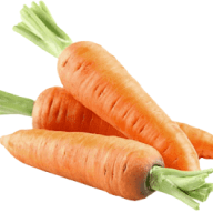 carrot